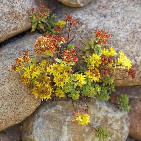 Διαμέρισμα Lotsenstieg 2 Kajuete 04 *