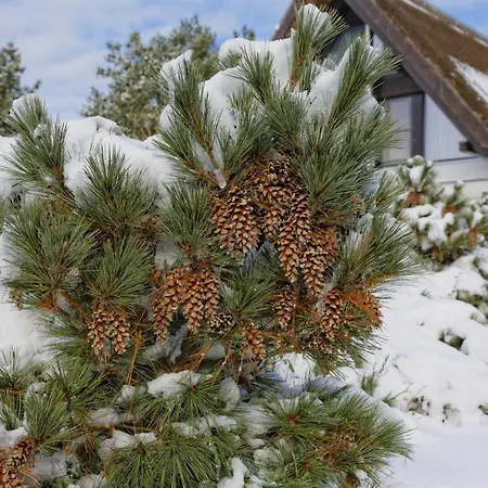 Lotsenstieg 2 Kajuete 04 Διαμέρισμα Karlshagen